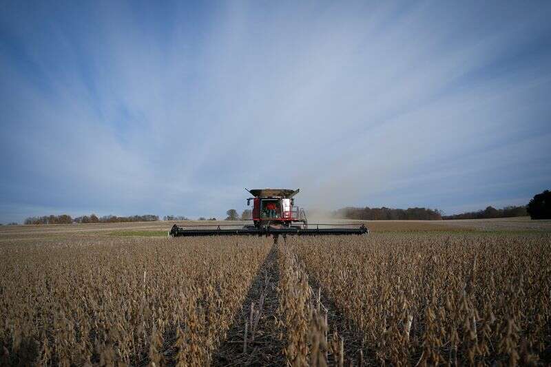 Los agricultores de EE.UU. ofrecen una gama de buenos valores de siembra después de un mayor rally de granos en los reuters de años