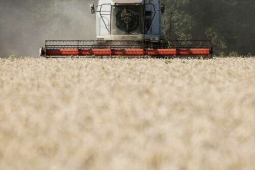 Ekskluzywne – Chiny zatrzaśnie duże objętości francuskiego, ukraińskiego podawania ziarna przez Reuters