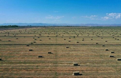 Die US-Getreide-Versicherungsauszahlungen steigen scharf an, da der Klimawandel Dürren verschlechtert, Überschwemmungen von Reuters