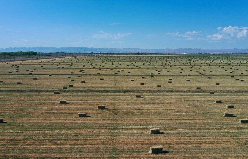 Los pagos de seguros de cultivos de EE.UU. aumentan bruscamente a medida que el cambio climático empeora las sequías, las inundaciones de Reuters