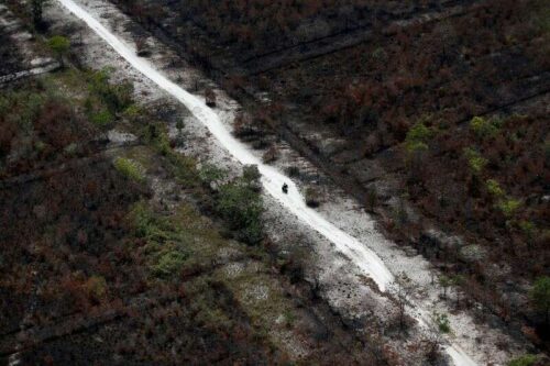 Indonesia 2019 Destrucción de incendios forestales Peor aún que la estimación oficial – Estudio de Reuters